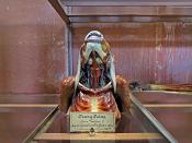 galerie de paleontologie et de anatomie comparee 12-2015 8236